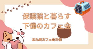 保護猫と暮らす 下僕のカフェ会